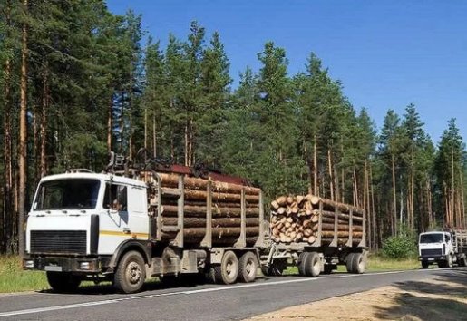 Лесовоз Лесовозы для перевозки леса, аренда и услуги. взять в аренду, заказать, цены, услуги - Заречный