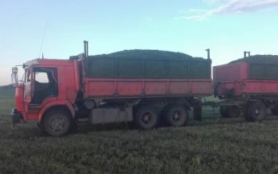 Перевозка зерна и кормов - Рязань, цены, предложения специалистов