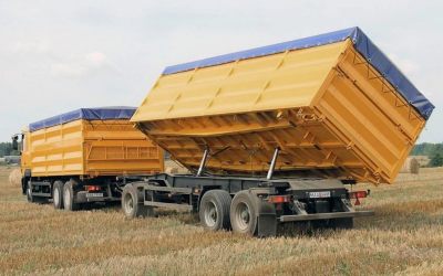 Услуги зерновозов для перевозки зерна - Скопин, цены, предложения специалистов