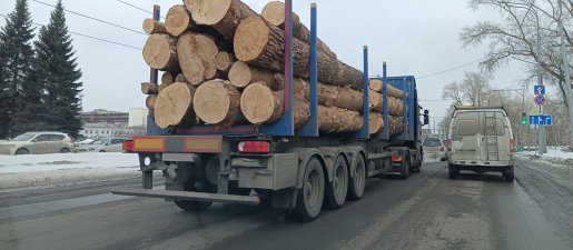 Поиск транспорта для перевозки леса, бревен и кругляка стоимость услуг и где заказать - Рязань